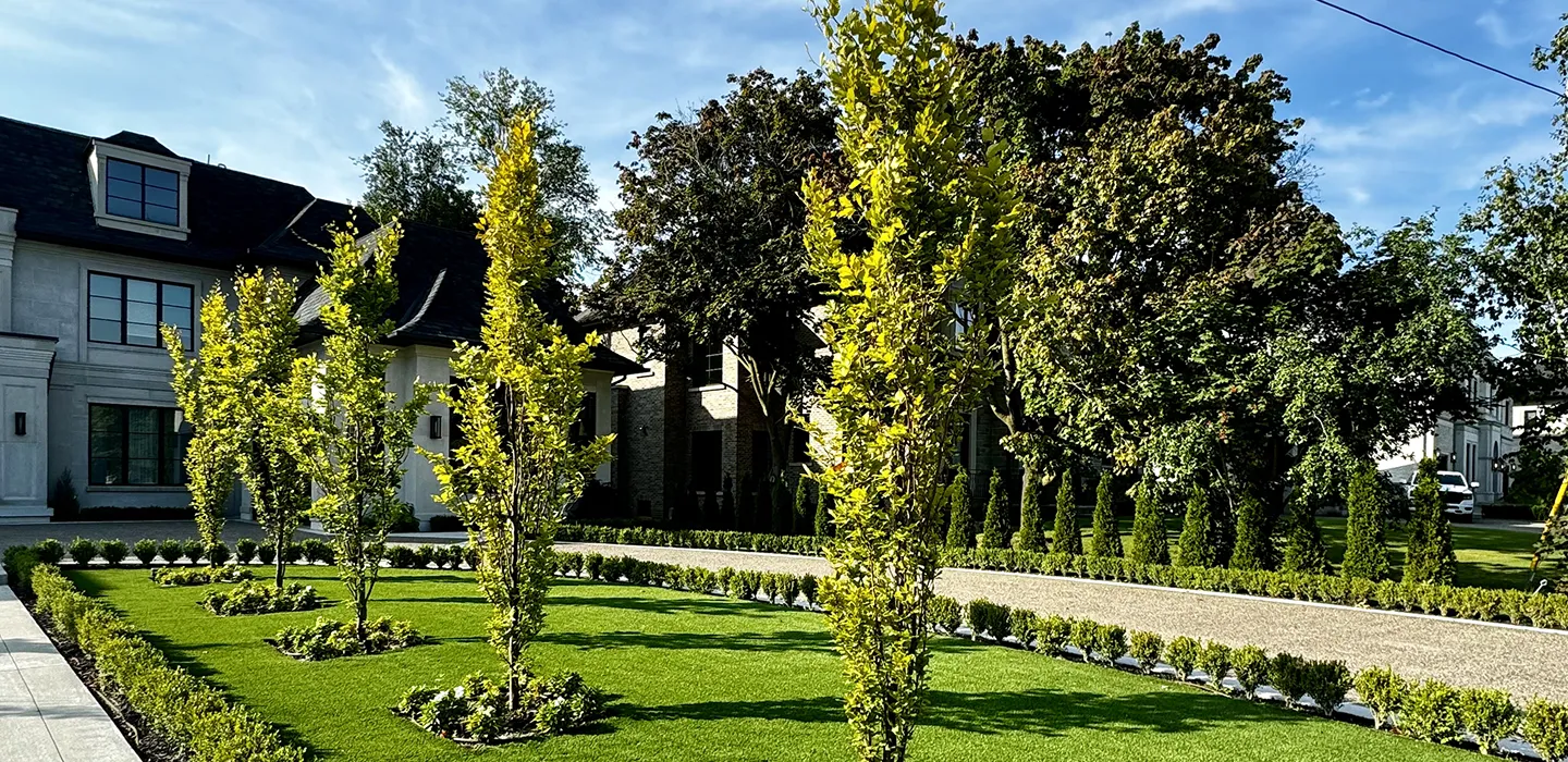 Professional Landscape Services Toronto