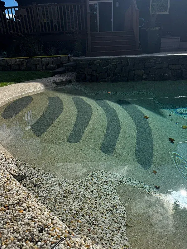 Natural pool and landscape Ontario