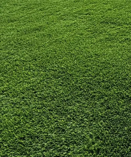 Pet-friendly artificial turf for dogs Ontario — Perfect Yard Landscape