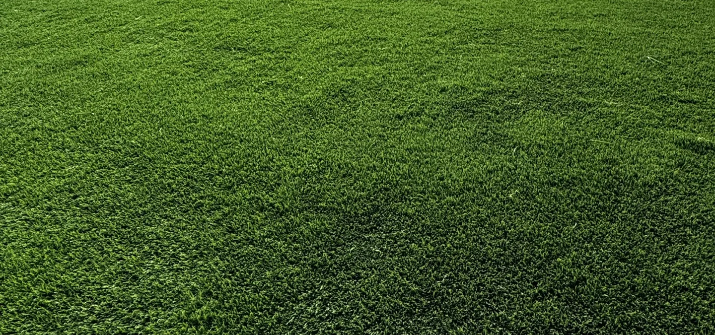 Pet-friendly artificial turf for dogs Ontario — Perfect Yard Landscape