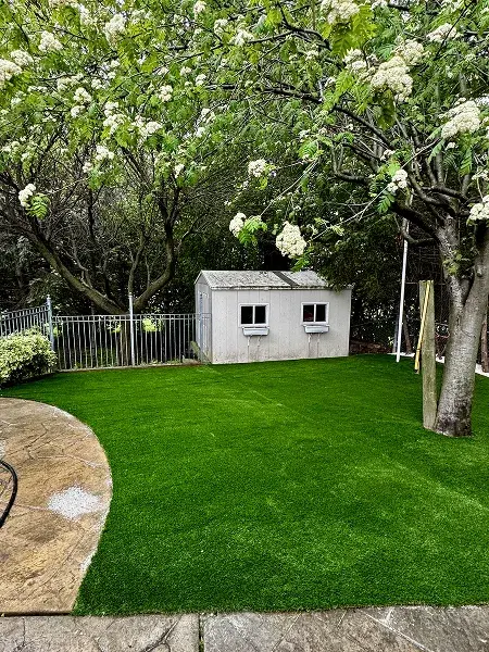 Pet safe synthetic lawn installation GTA — durable year-round