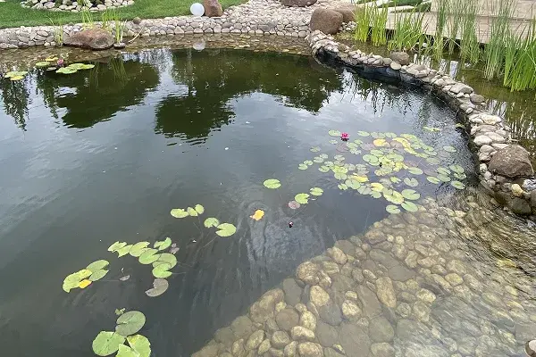Koi pond installation Toronto Ontario