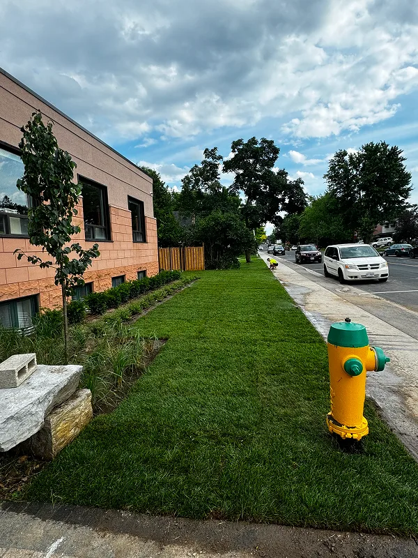 Professional landscaping project by Perfect Yard Landscape — Toronto GTA